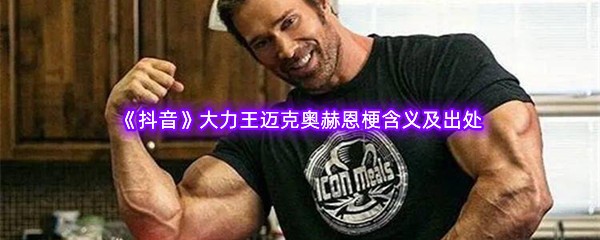 大力王迈克奥赫恩是什么意思-出自哪里