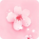 暖暖免费高清日本视频安卓版