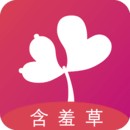 午夜播放器免费下载