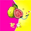 夜爱直播播放器在线下载