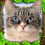 流浪猫模拟器中文版(StrayCatSim)_logo