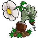植物大战僵尸lz重制版_logo
